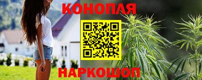 jwh Краснодар
