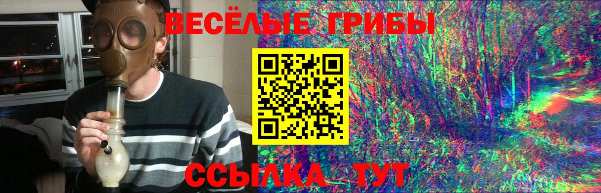 Галлюциногенные грибы мицелий Егорьевск