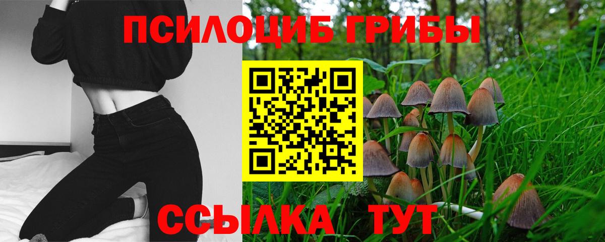Псилоцибиновые грибы мицелий  Вход с VPN  Егорьевск 